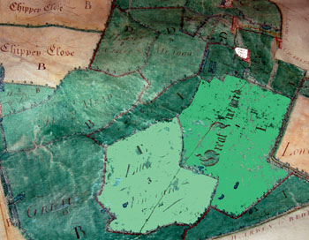 Map showing Abbey in white Great Vineyard in mint green and Little Vineyard in lighter green